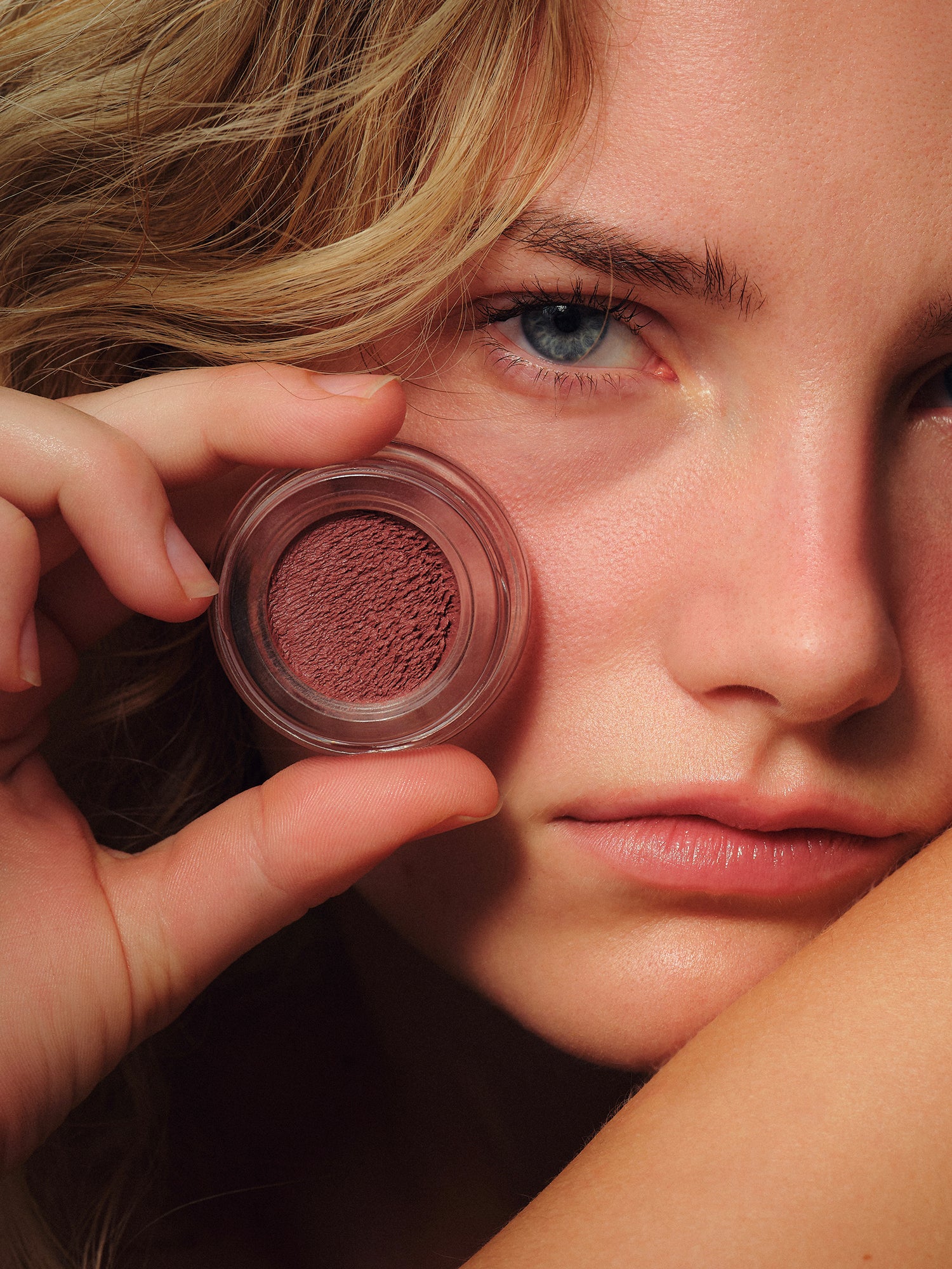 Le Fard à Joues - Wild Fig